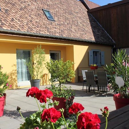 Gite Le Cep D'Or Alsace サン・ティポリット エクステリア 写真