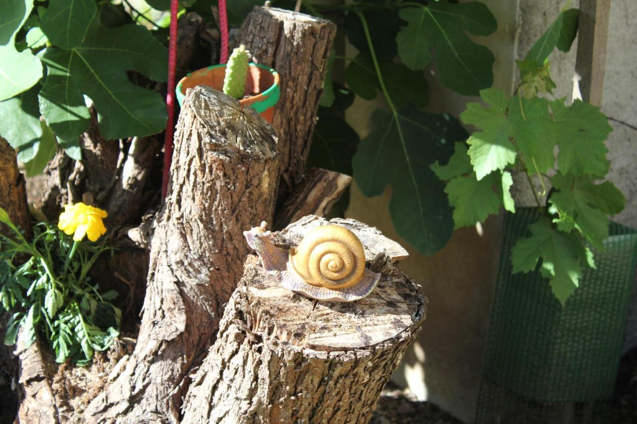 Gite Le Cep D'Or Alsace サン・ティポリット エクステリア 写真