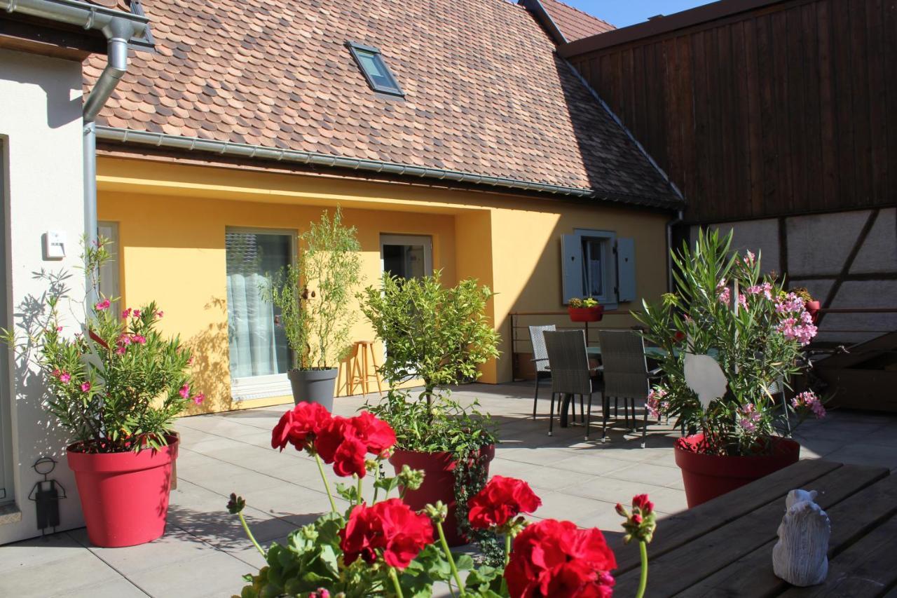 Gite Le Cep D'Or Alsace サン・ティポリット エクステリア 写真